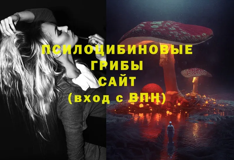 Псилоцибиновые грибы ЛСД  OMG сайт  Боготол 